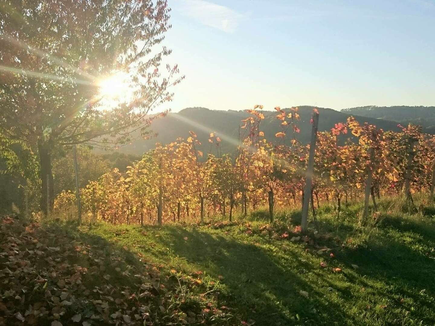 Fasten & Wandern in der herbstlichen Südsteiermark