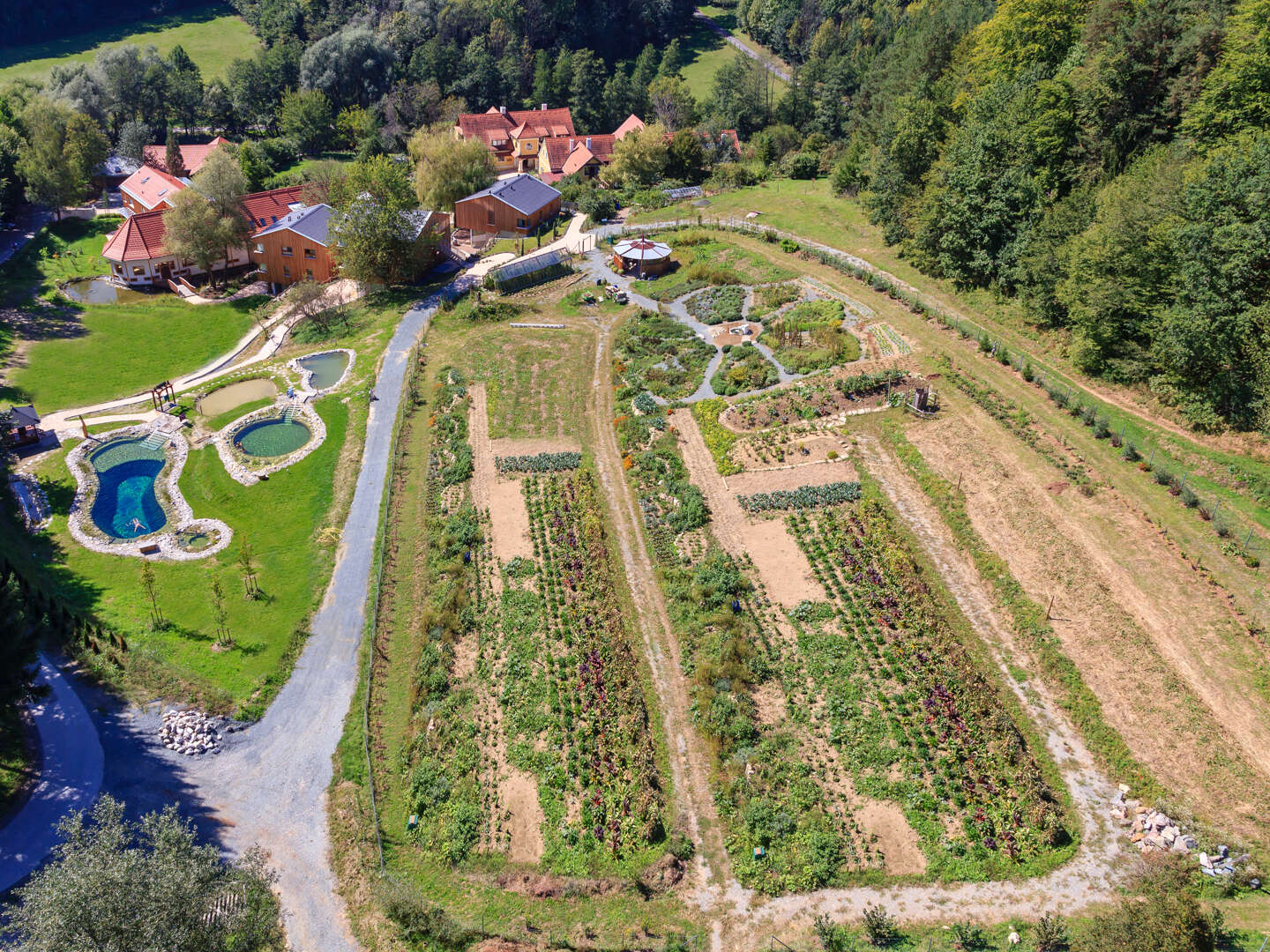 Natur pur: Erholsame Auszeit im steirischen Retreathotel inkl. veganer Halbpension | 3 Nächte