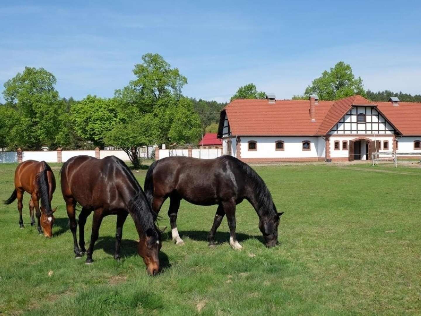 Urlaub in Landgut Wiejce | 4ÜHP  