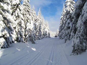 2 Tage Kurzurlaub - Auszeit vom Alltag  in Oberhof