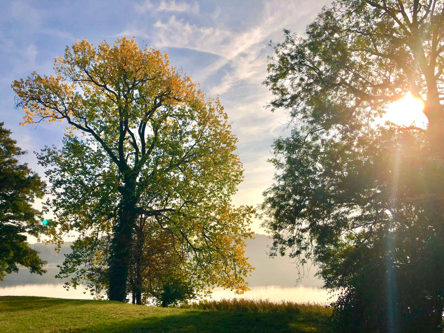 Lewitz-Natur von Parchim mit dem Rad erkunden