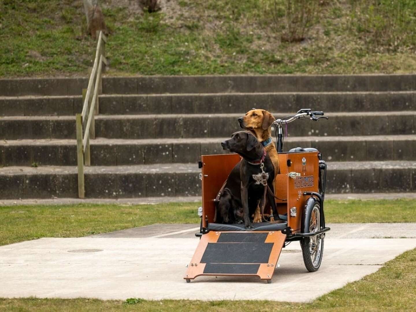 Ihre Wohlfühltage auf Sylt inkl. Wellness