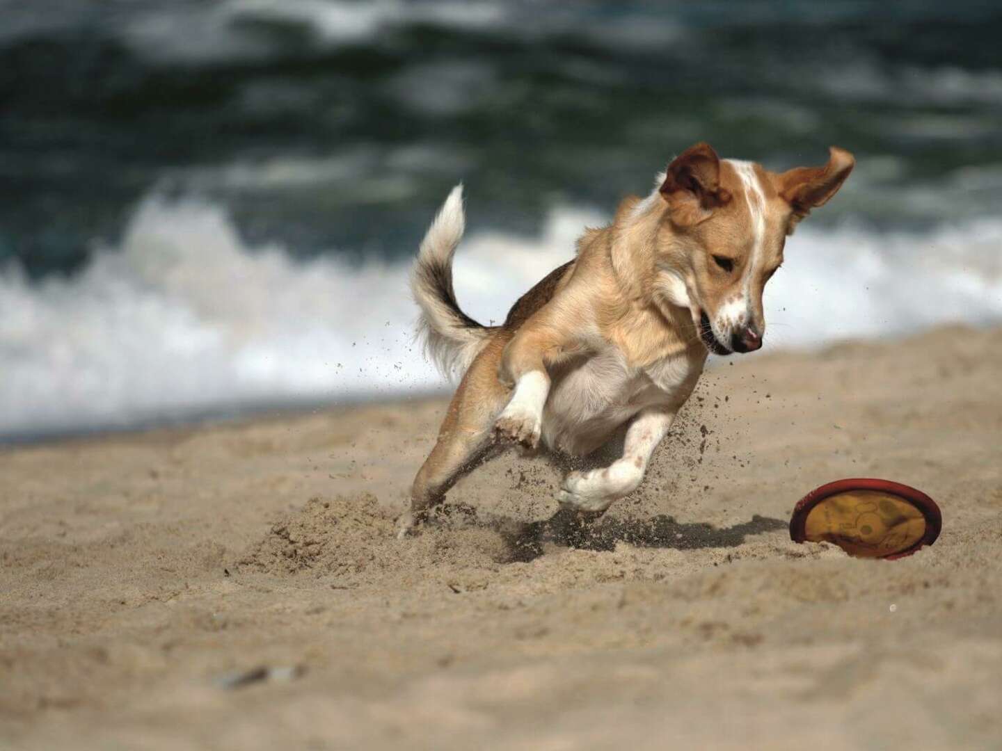 Exklusiver Kurzurlaub auf Sylt