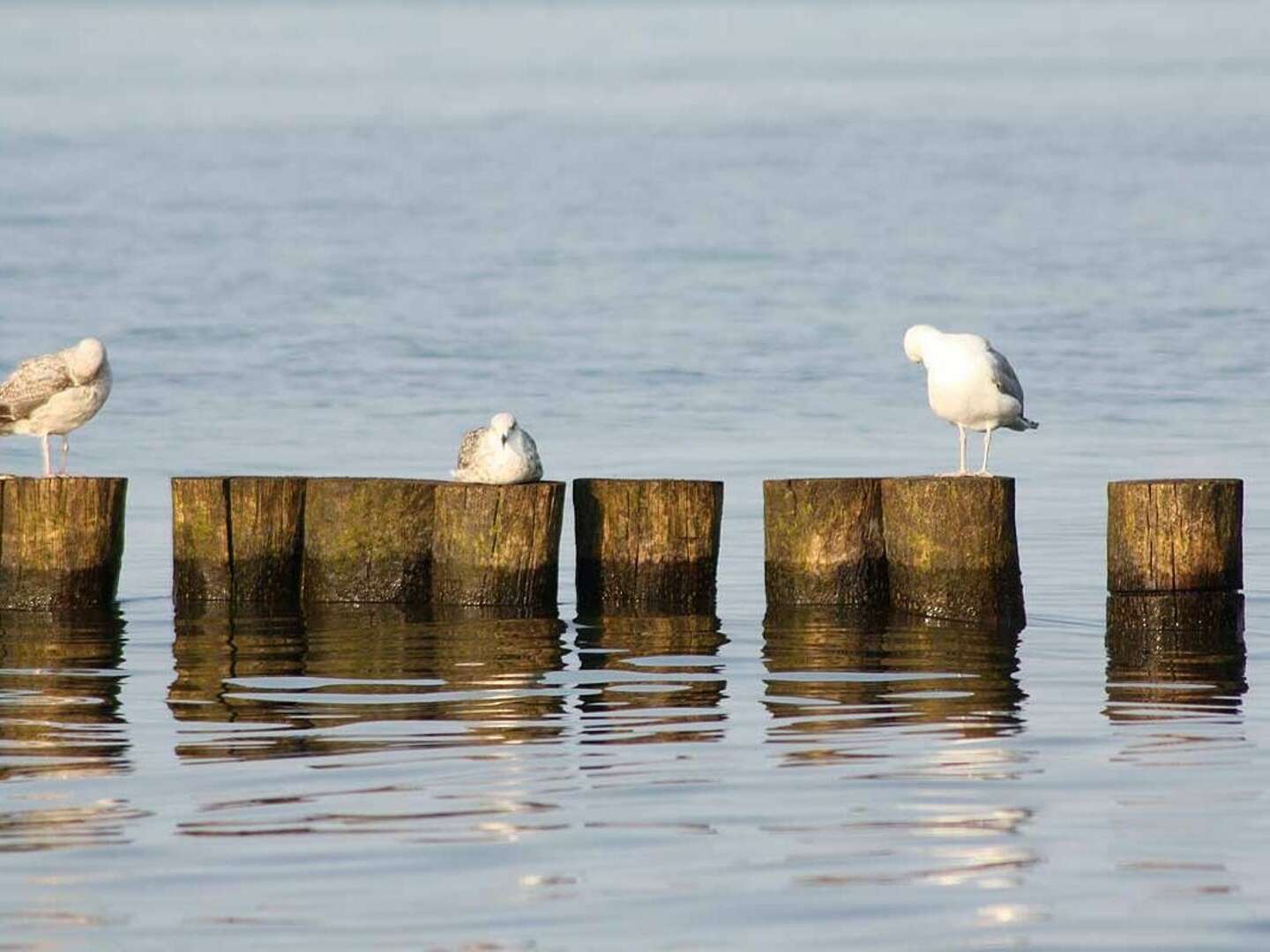 Kurzentschlossen nach Kühlungsborn