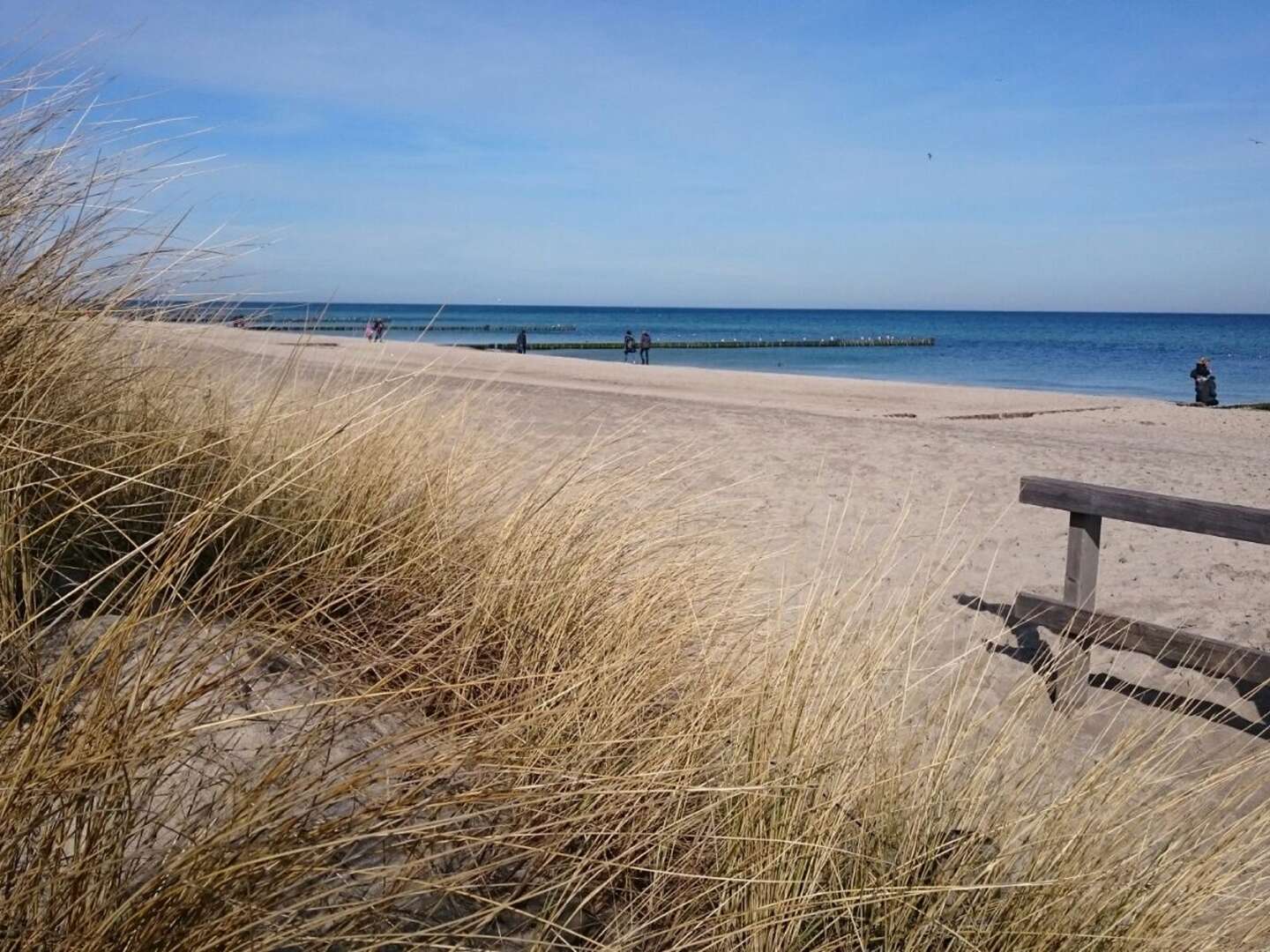 Kurzentschlossen nach Kühlungsborn