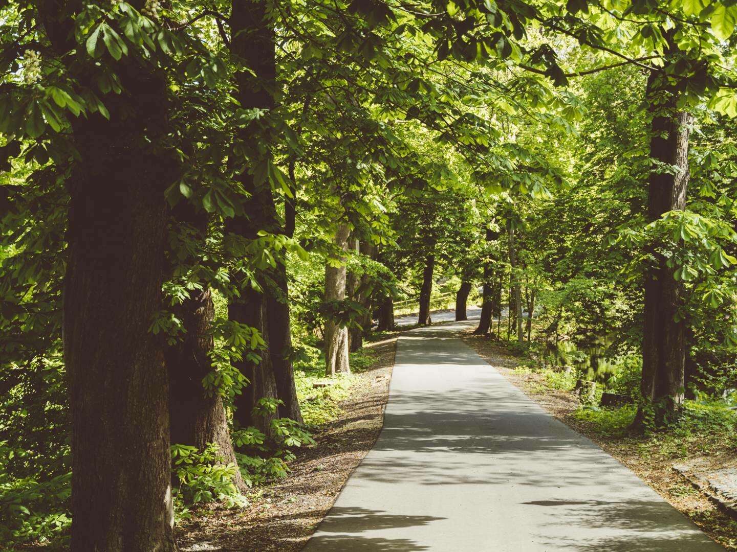 Erholungsurlaub an der Ostsee 