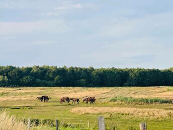 Entspannte Zeit an der Ostsee