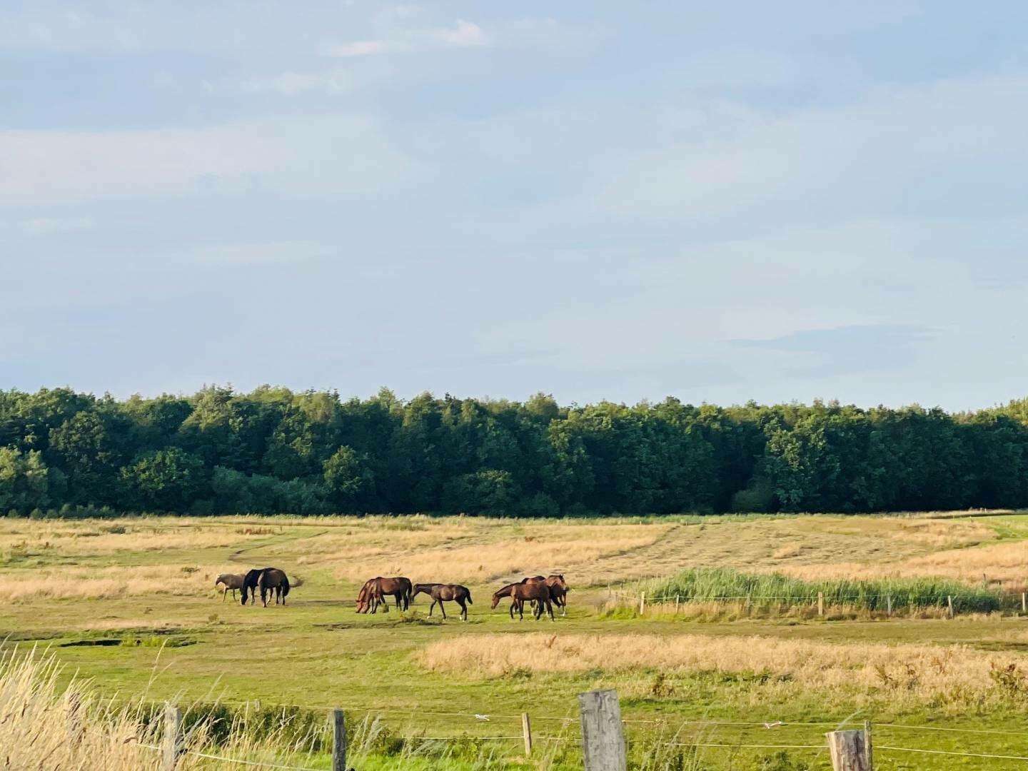 Kurzurlaub an der Ostsee