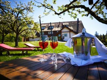 Sattelfest - Radfahren im Schwarzwald