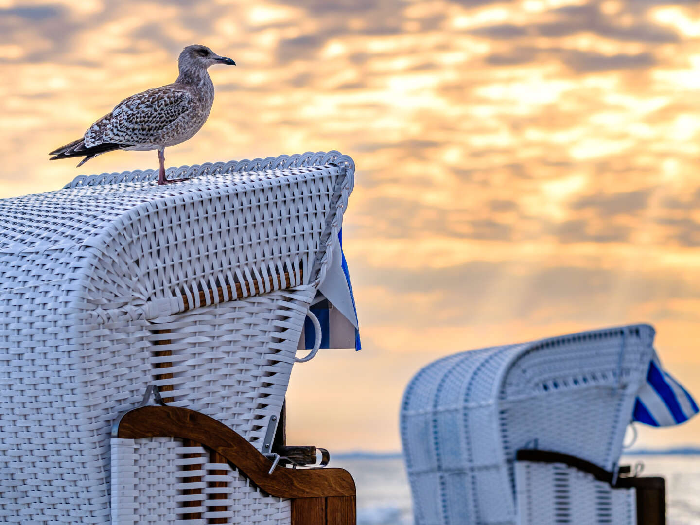 Genießen Sie den Herbst in Göhren auf der Insel Rügen