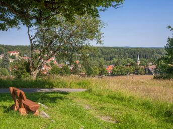 7 Tage Spar-Erlebnis-Paket Harz inkl. 48h Harzcard  