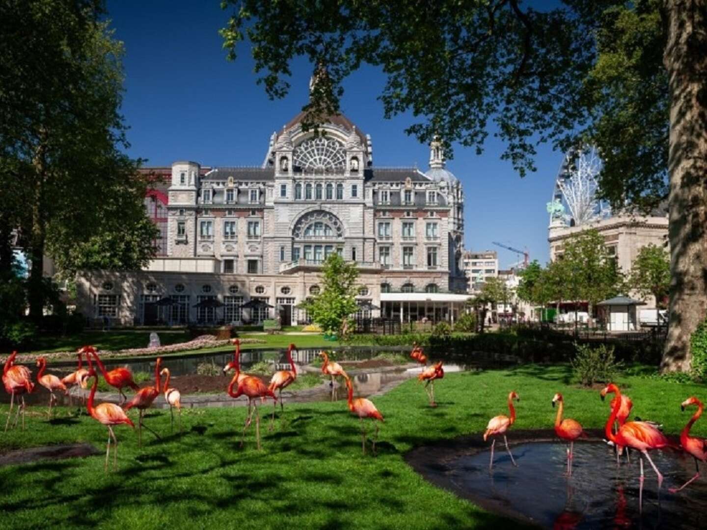 Städtetrip nach Antwerpen 3 Nächte | Terrasse mit Außenpool | Gratis Parken