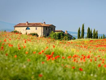 Genießerurlaub in der romantischen Toskana | 5 Nächte