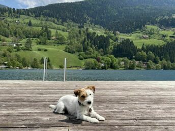 Kurzurlaub direkt am See - Badespaß & Kulinarik | 3 Nächte