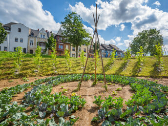 Essbare Stadt genießen | 5 Nächte inkl. Halbpension