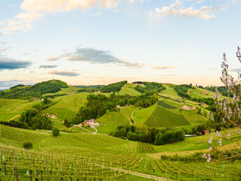 Kurzurlaub in der Südsteiermark | 5 Nächte