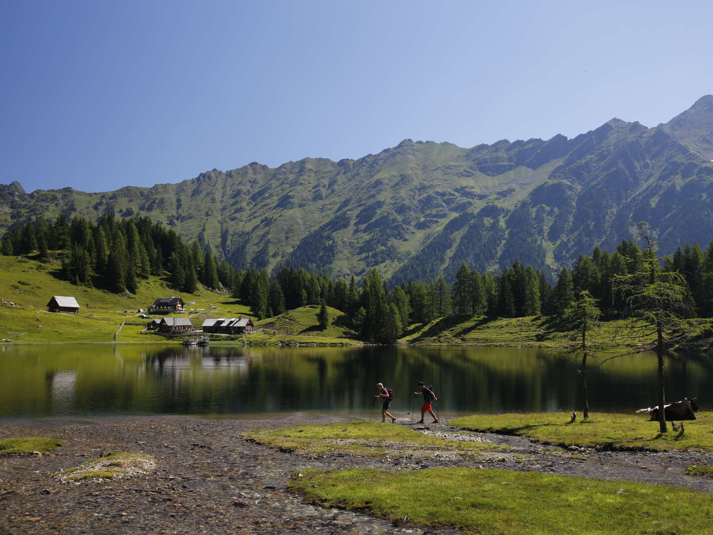 Winterglück im Ennstal inkl. Private Spa & Willkommens Getränk / 5 Tage  