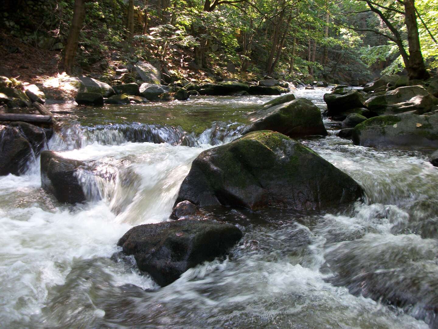 3 Tage Auszeit vom Alltag im Harz