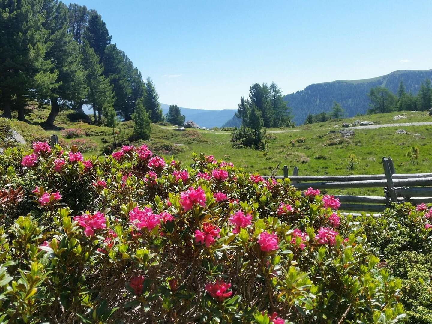 Advent voller Genuss in Bad Kleinkirchheim inkl. hausgemachter Kekserl | 2 Nächte