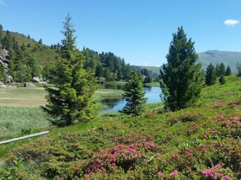 Der Berg ruft - Kärntner Nockberge in Bad Kleinkirchheim inkl. Bergbahnen | 3 Nächte