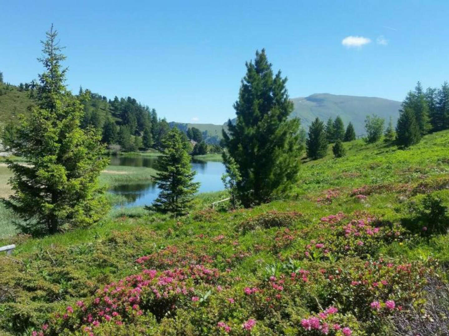 Der Berg ruft - Kärntner Nockberge in Bad Kleinkirchheim inkl. Bergbahnen | 5 Nächte