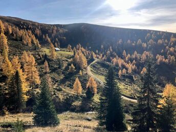 Herbstfarben im Wanderparadies Nockberge | 1. Nacht GRATIS inkl. Kärnten Card | 5 Nächte