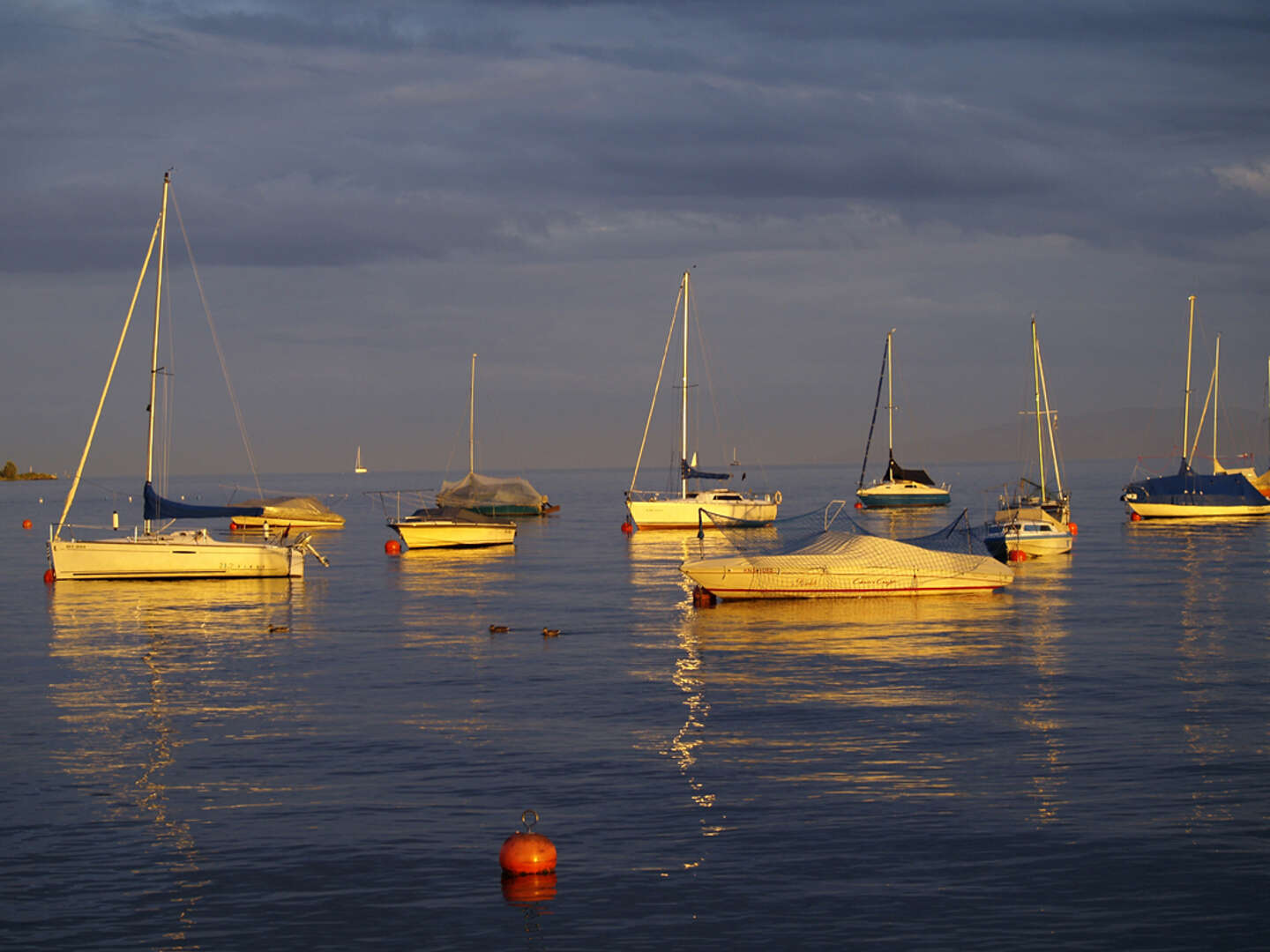 Genießertage - Apfelernte am Bodensee - 6 Tage