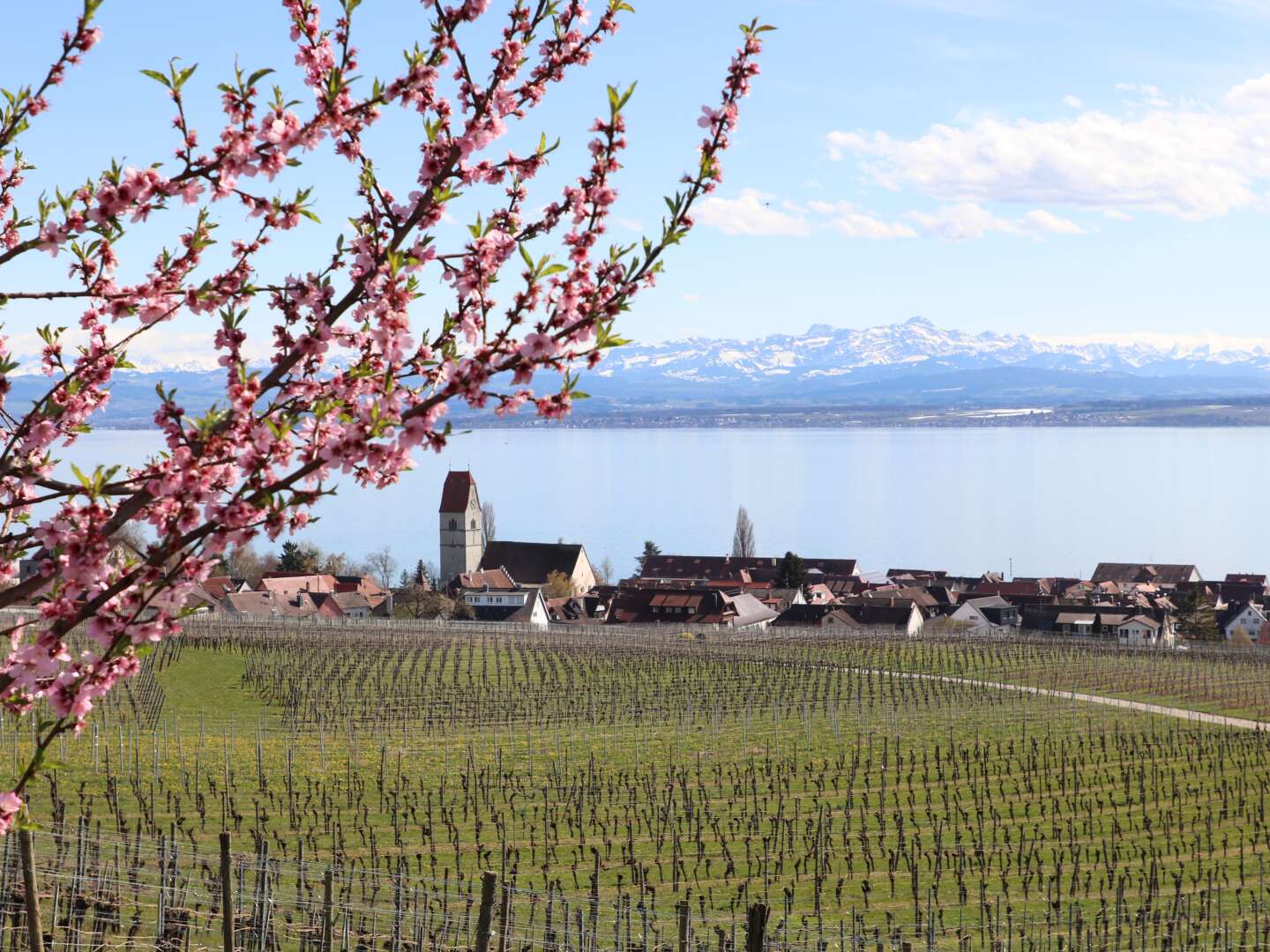 Saisonstart- Frühlingsgefühle am Bodensee - 6 Tage 