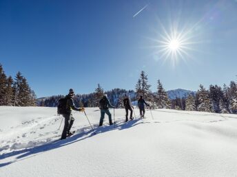 Auszeit im Appartement im Alpbachtal | 3 Nächte 