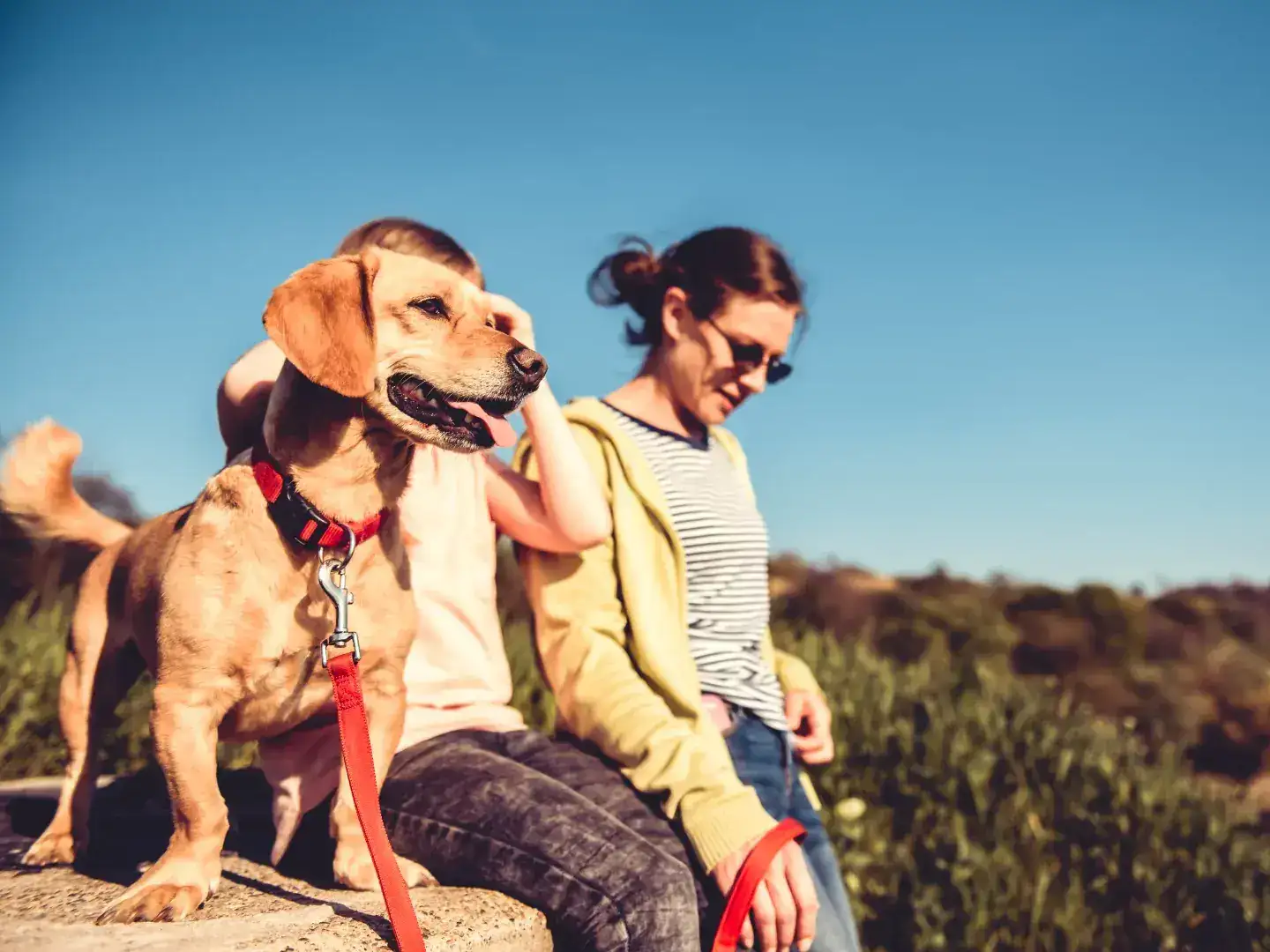 Aktivurlaub mit Hund in der Region Murau: Ein Abenteuer für Zwei- und Vierbeiner I 5 Nächte 