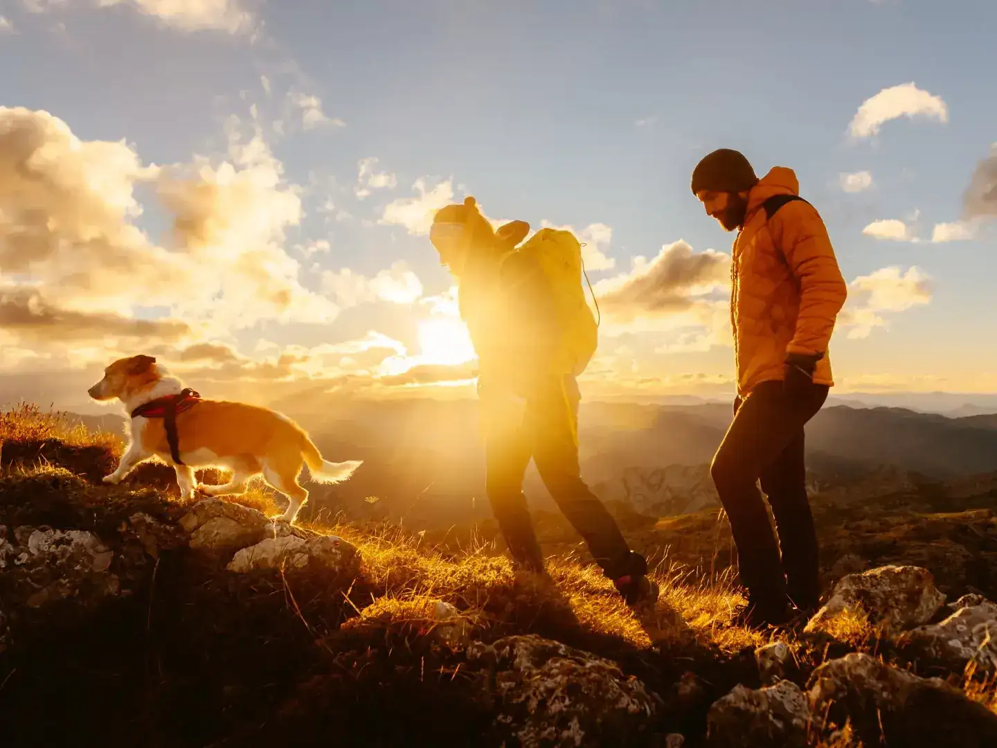 Aktivurlaub mit Hund in der Region Murau: Ein Abenteuer für Zwei- und Vierbeiner I 6 Nächte 