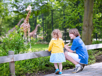 Magdeburgs Zoo-Abenteuer inkl. 3-Gang Menü | 3 Nächte