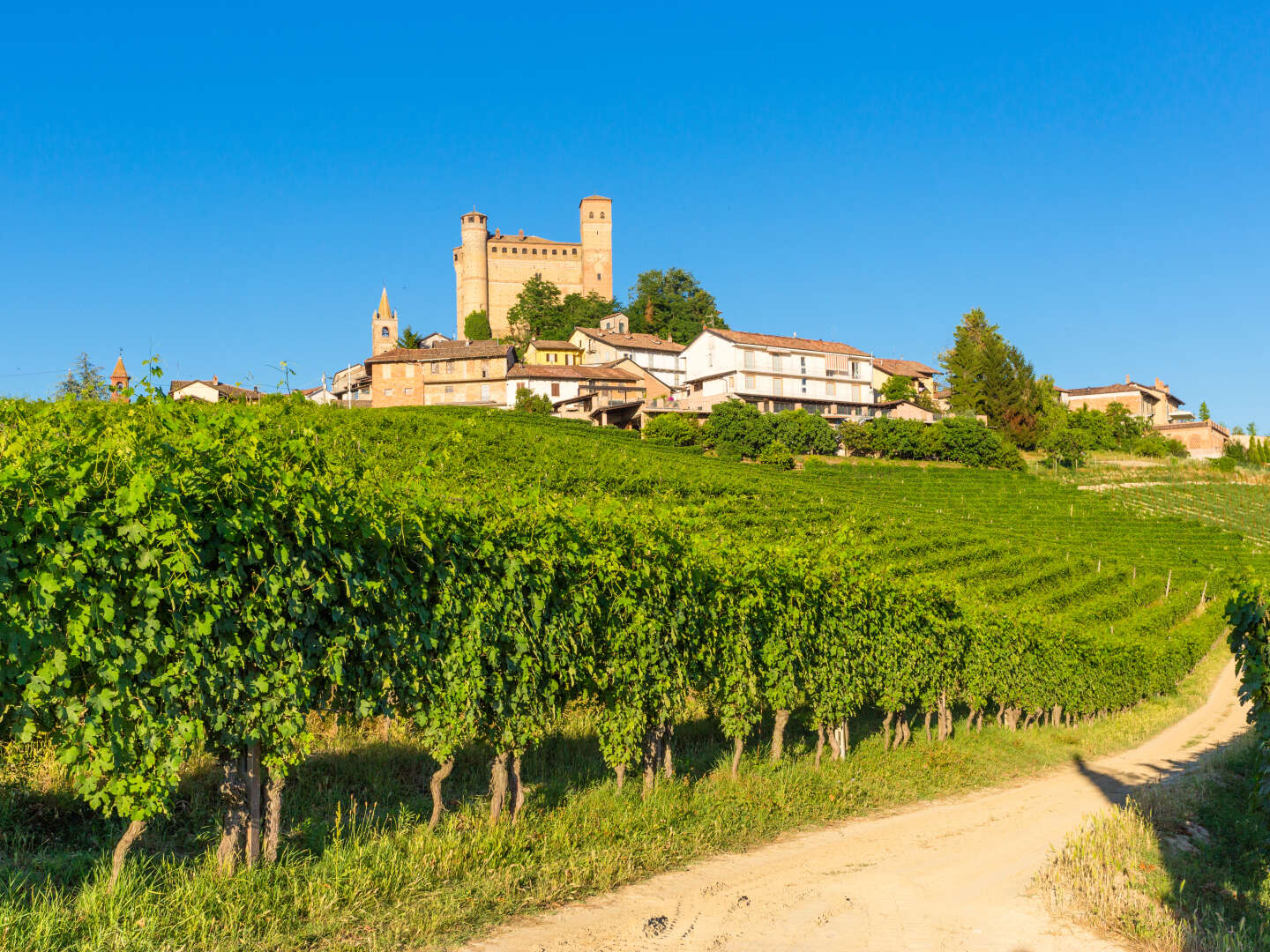 Erholungsurlaub inmitten der Weinberge von Piemont Italien | 4 Nächte