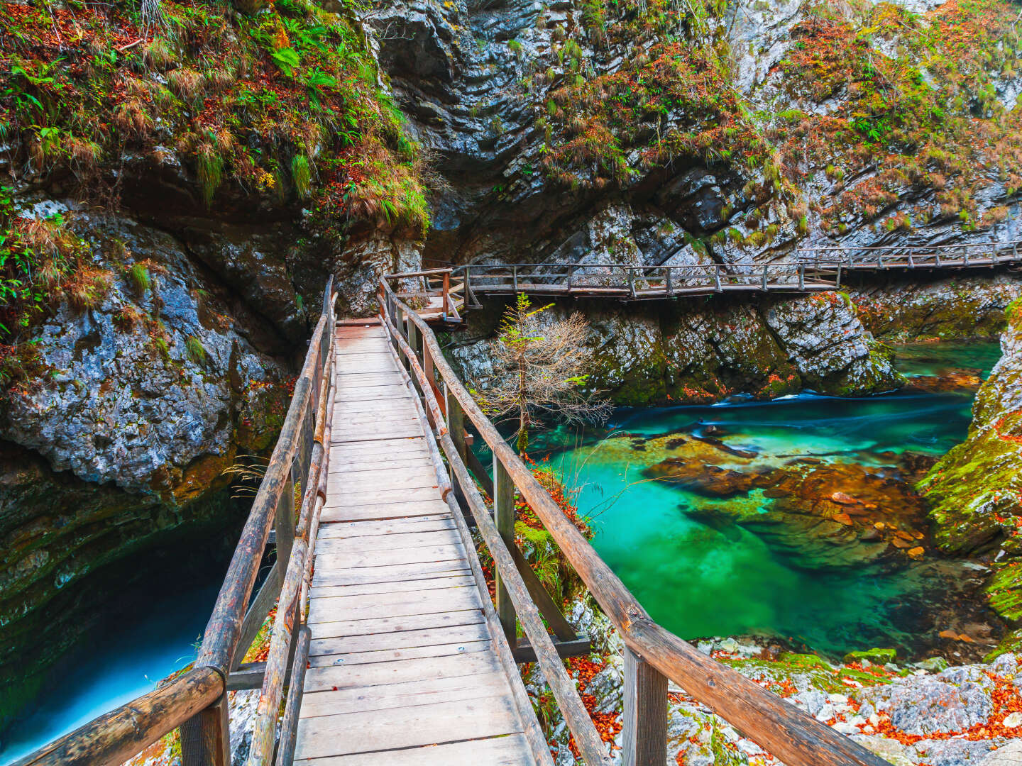 Natururlaub in der UNESCO-Welterbestätte Bled | 4 Nächte