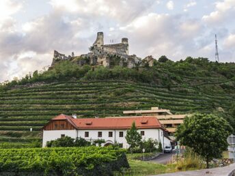 Entspannung und Wellness am Weingut | 7 Nächte