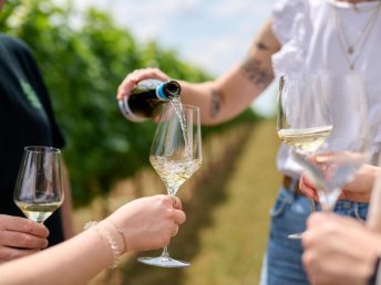 Frühlingserwachen in der Pfalz - 3 Tage inkl. Picknick und Weinverkostung