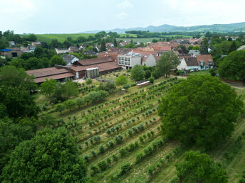 Frühlingserwachen in der Pfalz - 3 Tage inkl. Picknick und Weinverkostung