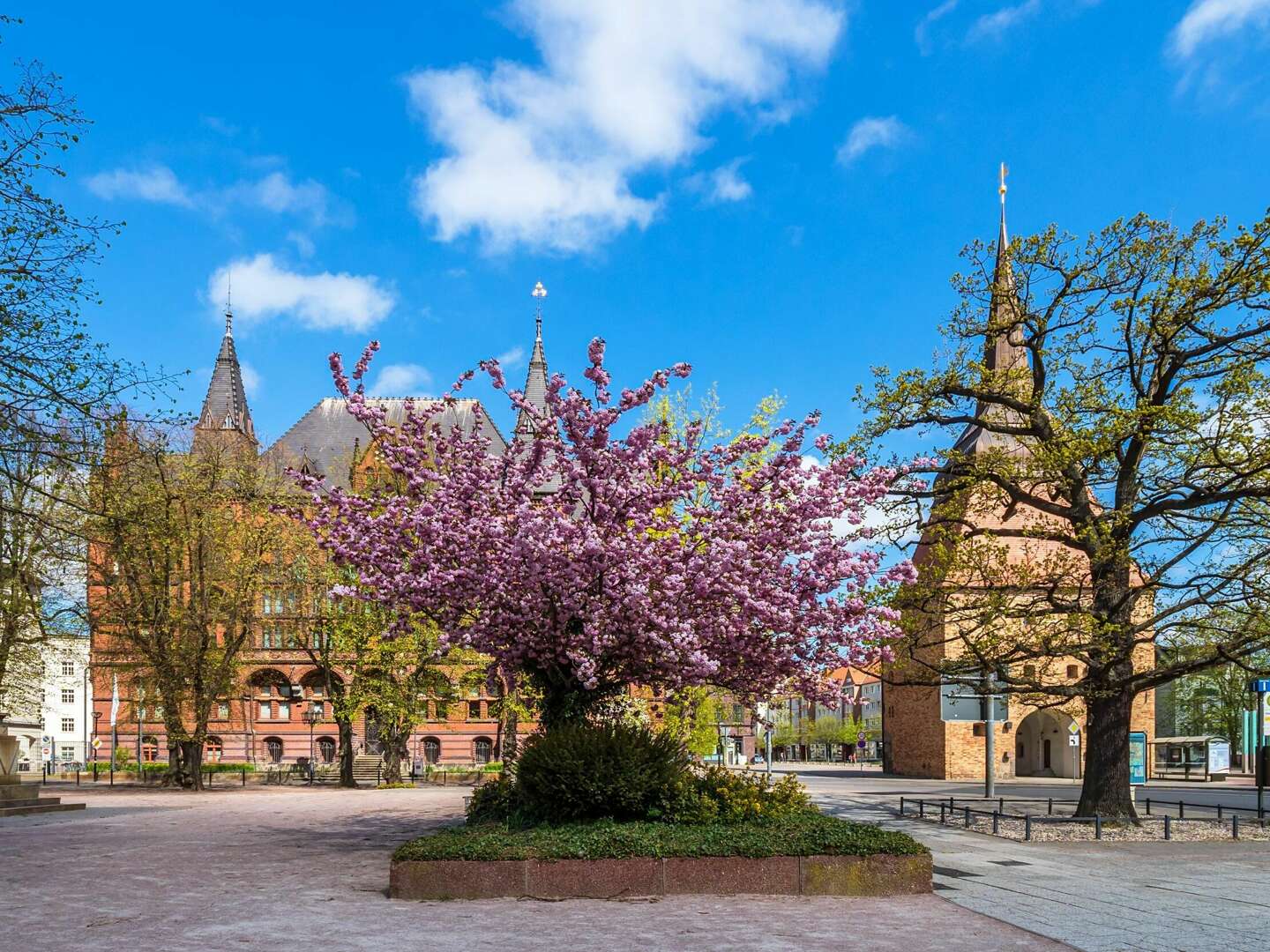 Urlaubszeit in Rostock