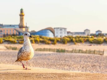 Erholungspause an der Ostsee in Rostock