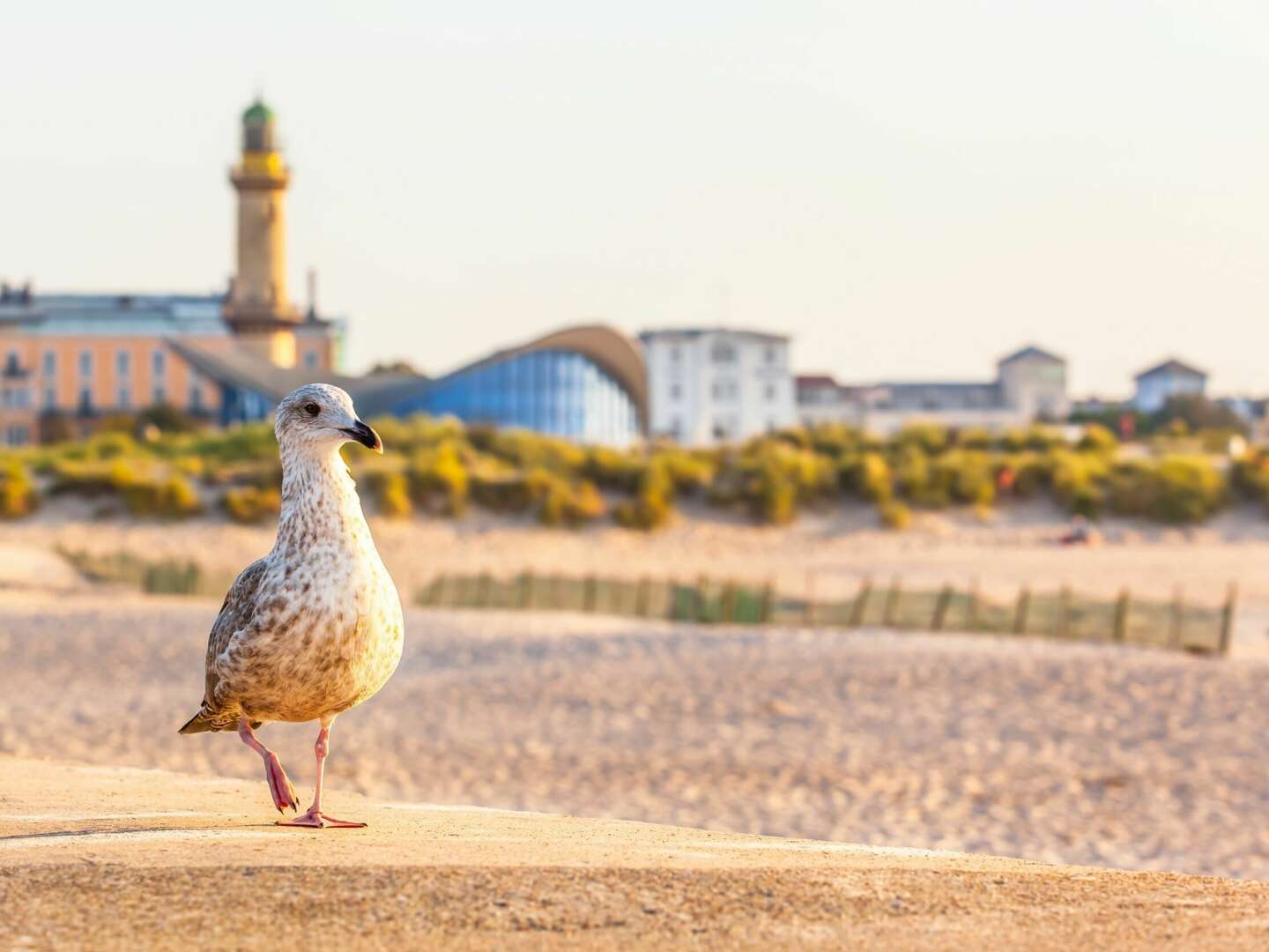 Erholungspause an der Ostsee in Rostock