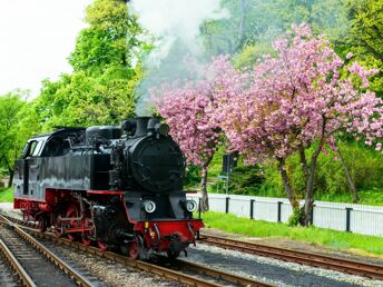 Auf den Spuren der alten Hansezeit in Rostock