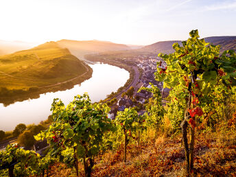 5 Tage Aktivurlaub: Entspannung am Flussufer der Mosel und Verwöhnzeit in der Vulkaneifel Therme