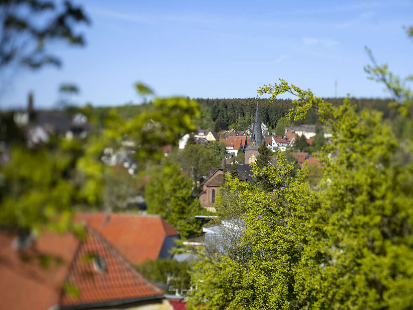 5 Tage Erlebnisurlaub im Harz - inkl. Eintritt ins Hallenbad Braunlage