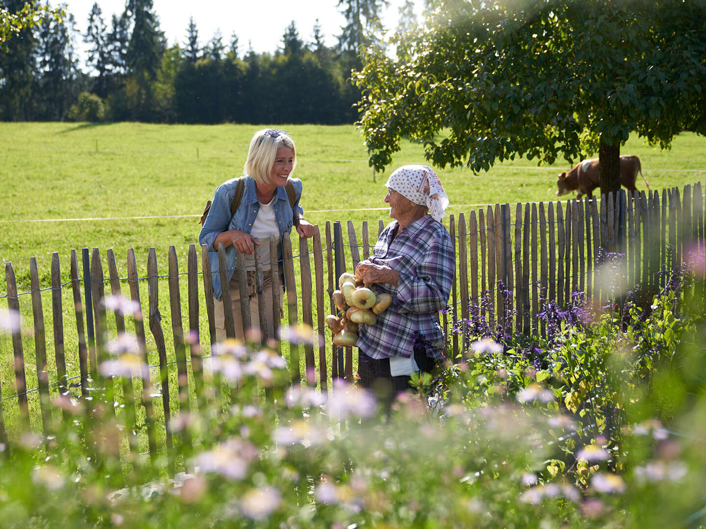 Wellnessauszeit im Mühlviertel inkl. Halbpension | 7 Nächte