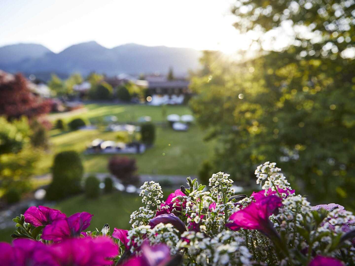 Einfach mal vorbeischauen im Allgäu mit Luxus-Massage