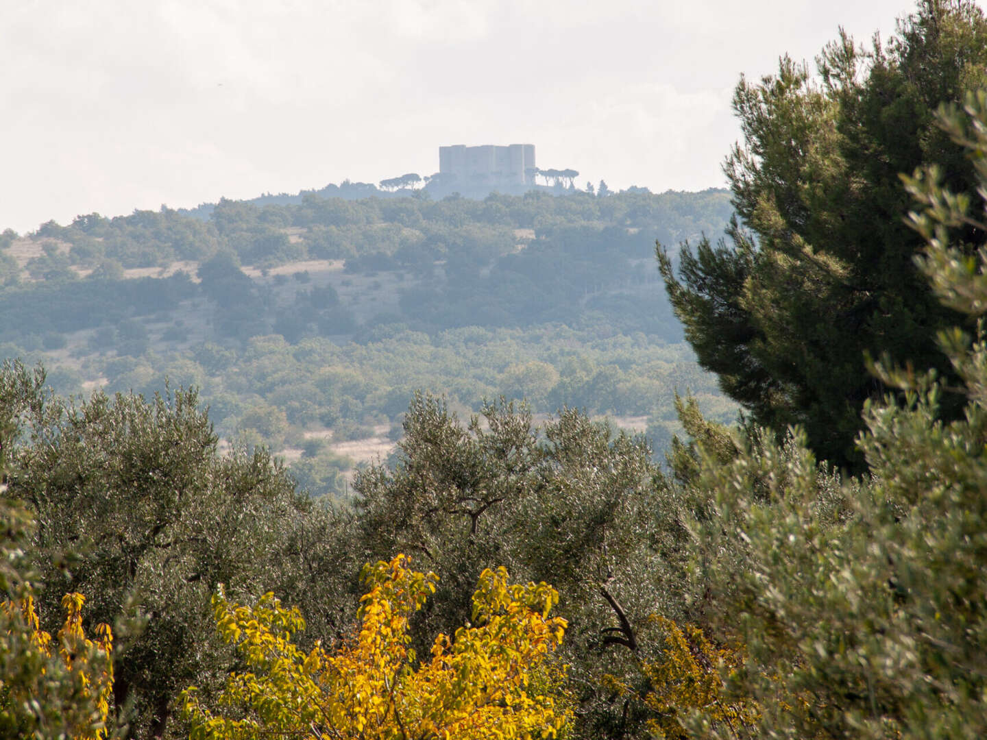 Entspannungsurlaub - Zur Ruhe kommen in der Umgebung von Castel del Monte | 3 Nächte