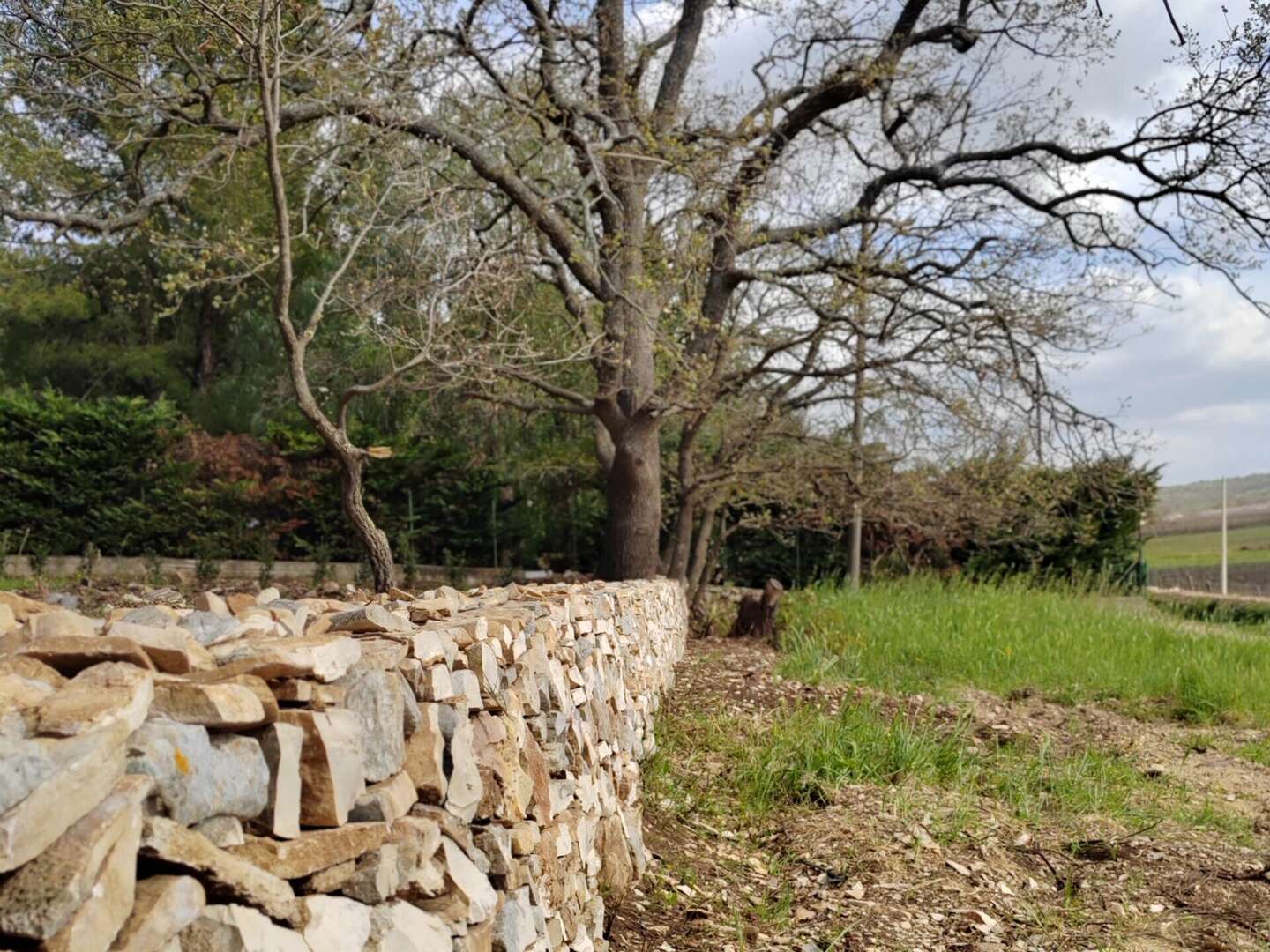 Entspannungsurlaub - Zur Ruhe kommen in der Umgebung von Castel del Monte | 3 Nächte