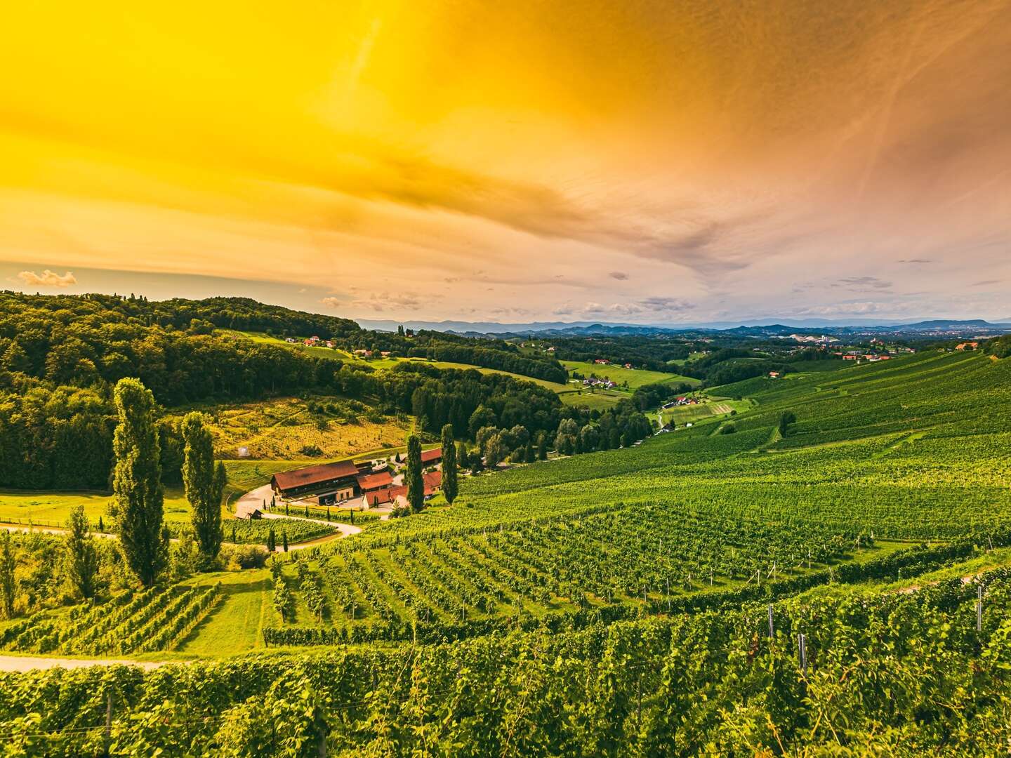 110% Steiermark pur - Kurzurlaub inkl. Backhendlessen, 1 Fl. Kürbiskernöl & Qualitätswein für daheim