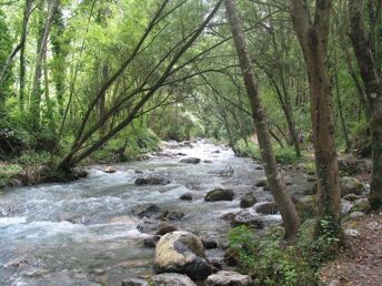 Auszeit in der Natur - Erholungsurlaub am italienischen Bio-Bauernhof| 6 Nächte