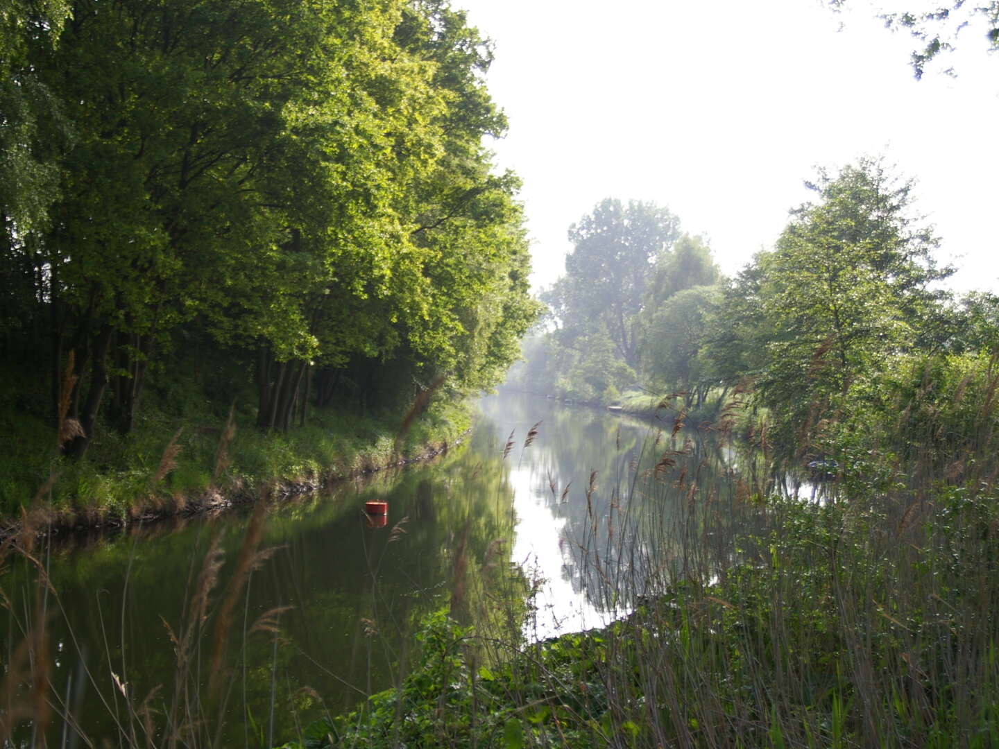 Vier Pfoten - Urlaub mit dem besten Freund inkl. Eintritt Bärenwald Müritz